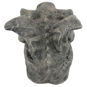 Image Thumbnail for DT EMMETT GARGOYLE